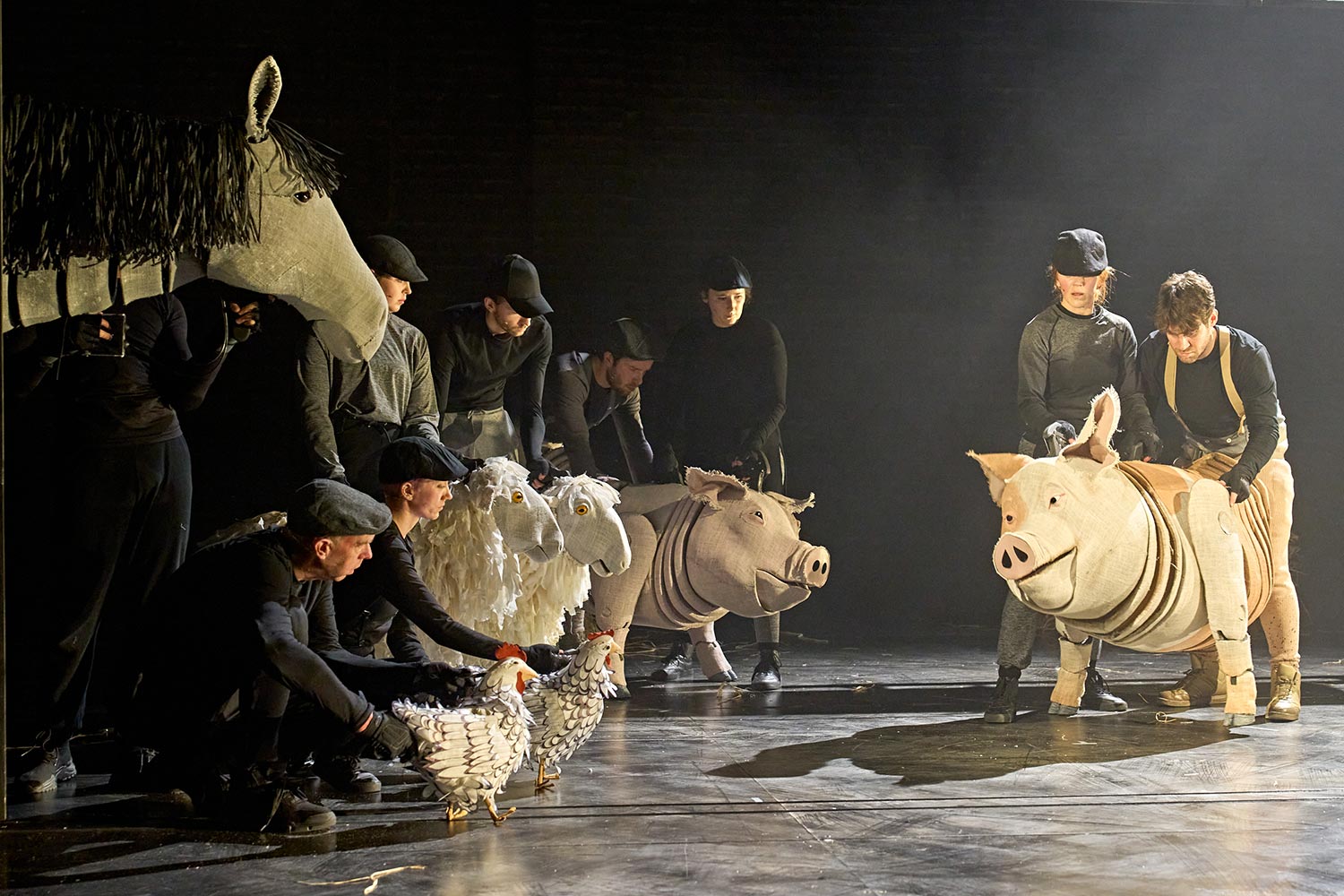 Animal Farm by George Orwell | Touring 2022 | A Children's Theatre  Partnership production in association with Birmingham Rep