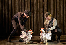 Hens (puppeteers Edie Edmundson and Darcy Collins)